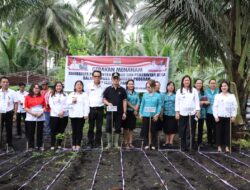 Program Ketahanan Pangan, Bupati Sorongan Tanam Kacang di Silian Raya