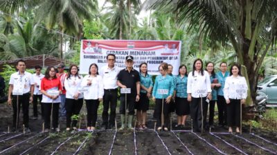 Program Ketahanan Pangan, Bupati Sorongan Tanam Kacang di Silian Raya