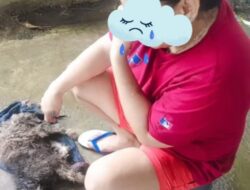 Tragedi Sugar: Anjing Kesayangan Ditabrak, Pemilik Murka, Aparat Diminta Bertindak!