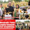 Panen Jagung di Mapanget, Richard Sualang Dorong Sinergi Pertanian untuk Ketahanan Pangan