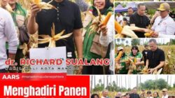 Panen Jagung di Mapanget, Richard Sualang Dorong Sinergi Pertanian untuk Ketahanan Pangan