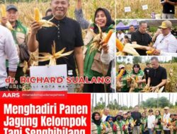 Panen Jagung di Mapanget, Richard Sualang Dorong Sinergi Pertanian untuk Ketahanan Pangan